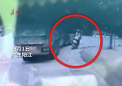 后方司机狂按喇叭救下两个家庭 货车盲区险酿祸后车狂按喇叭救人