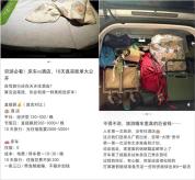 电车露营干崩酒店生意 省钱新潮流冲击传统住宿
