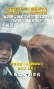 女孩旅居两个月 离别时一人一马落泪