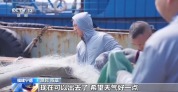 期待渔获满舱 闽浙苏启动“小开渔”捕捞作业