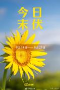 今日进入末伏 “秋老虎”威力犹存