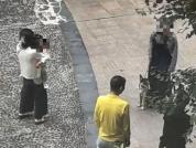 四川烈性犬咬伤女童狗主人被刑拘 事发时未牵绳