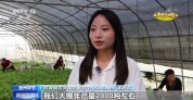 菜篮子、米袋子、果盘子 多地特色农业喜迎丰收