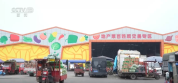 各地“菜篮子”价稳物丰 节日消费市场热力足