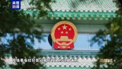 专案组：获取证据办成铁案 血债血还 铲除缅北电诈集团