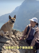 湖北小狗多多成徒步野生向导