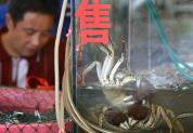 上海大闸蟹卖到“地板价” 市场分化明显