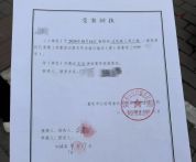父亲遛狗幼童坠亡案母亲暴瘦10斤 家庭悲剧引发关注