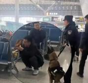 缉毒犬搜出泡面被骂 忠诚背后的故事