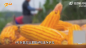 9岁孩子充网易游戏1.5万没法全额退，网易方面称账号为成年人账号、属于成年人所有，且扣款时有信息提醒，无法证明是孩子充值