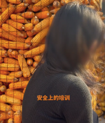 邯郸12岁女孩在橡皮泥黑作坊打工致6级伤残：厂方被判担责7成，监护人担责3成