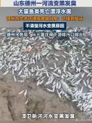 山东德州被曝一河水变黑发臭 疑点重重待解