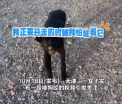 被狗咬后狗死了女子发视频告诫网友：千万不要盲目靠近受伤流浪狗