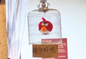 饭店里养的居然是“愤怒的小鸟” 网友：投喂的是绿皮猪头吗