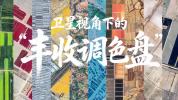 卫星视角下的“丰收调色盘” 五彩斑斓映丰收