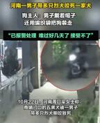 一男子带数只烈性犬咬死家犬 行为涉嫌违法