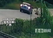 男孩骑玩具车冲马路险被过路汽车撞