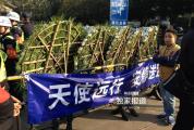 古风歌手吾恩去世 温柔歌声永存心间