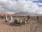 春耕春播正当时不负春光不误农