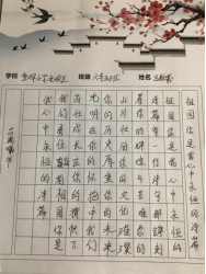 非遗少年说 书画传匠心