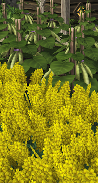 《海狸浮生记》即食食物先容