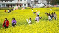 구이저우 설기간 여행 주문서 동기대비 87% 늘어