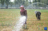 가뭄과 싸워 수확 증대를 보장