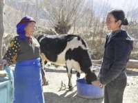 तिब्बतको गोङगार जिल्लाको लाल तारा आबास क्षेत्रको परिवर्तन