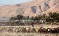 以色列没收12平方公里巴土地 非政府组织谴责大规模兼并