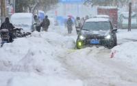 暴雪后鹤岗公交停运 市民齐心抗雪灾