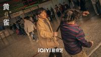 电视剧《黄雀》央八开播 实力派阵容引期待