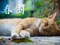 “春困”成了社交平台的热议话题，三个方法缓解春困