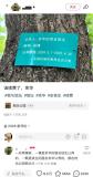 余華回應國槐樹事件 文學友誼引發(fā)熱議