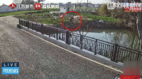 見義勇為,！80歲老人落水85歲老人跳河救人