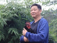 趙亮：質(zhì)疑我們養(yǎng)的雞 很冤枉 愿直面質(zhì)疑展示真相
