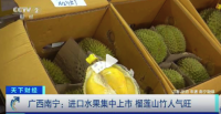 降价的风终于吹到了榴莲！20元一斤的榴莲给谁拿捏住了