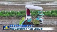 全國夏播糧食2.7億畝 進度過半 播種進度快于常年