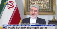 伊朗大使形容特朗普是白日做夢(mèng) 呼吁譴責(zé)以色列攻擊