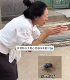 女子模仿綠豆蠅搓手 網(wǎng)友：讓你模仿沒讓你超越