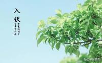 2025年的三伏天很不一樣 30天罕見三伏