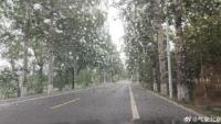 北京悶熱潮濕天氣還將延續(xù) 陣雨頻擾京城