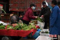 北方人过冬的仪式感：冬储菜 立冬囤菜传统依旧