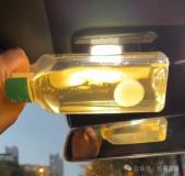 多方談用飲料養(yǎng)“茶菌”當寵物 專家警示健康風險