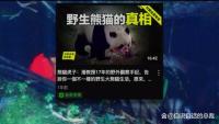 大熊貓珍珍一家的“熊斗”日常 萌態(tài)背后的生存智慧