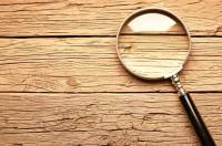 “政务龙虾”好养吗 AI智能体提升政务效率