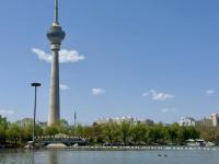 北京玉渊潭天鹅船萌化了 温馨场景吸引市民观赏