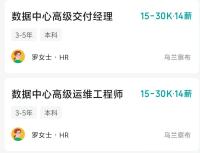 DeepSeek招人去内蒙草原“守机房” 高薪岗位引关注