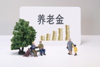 養(yǎng)老金是怎樣構(gòu)成的