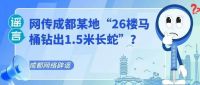 官方辟谣“成都马桶钻出长蛇” 旧闻翻炒引发关注