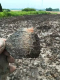 江苏丹阳一村庄现大量陶片 疑似古遗址引关注